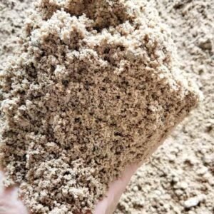 Pasir Pasang (Pickup)